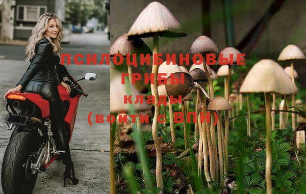 кокаин Арсеньев